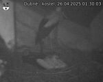 Capi_Dubne_20250426_013003.jpg