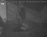 Capi_Dubne_20250426_015502.jpg