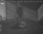 Capi_Dubne_20250426_020503.jpg