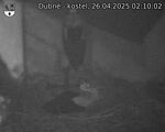 Capi_Dubne_20250426_021002.jpg
