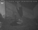 Capi_Dubne_20250426_021502.jpg