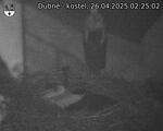 Capi_Dubne_20250426_022502.jpg