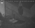 Capi_Dubne_20250426_024002.jpg
