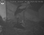 Capi_Dubne_20250426_025502.jpg