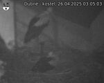Capi_Dubne_20250426_030503.jpg