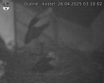 Capi_Dubne_20250426_031002.jpg