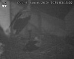 Capi_Dubne_20250426_031502.jpg
