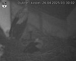Capi_Dubne_20250426_033002.jpg