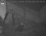 Capi_Dubne_20250426_035503.jpg