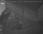 Capi_Dubne_20250426_041002.jpg