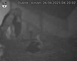 Capi_Dubne_20250426_042002.jpg