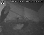 Capi_Dubne_20250426_043502.jpg