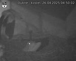 Capi_Dubne_20250426_045002.jpg