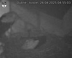 Capi_Dubne_20250426_045503.jpg