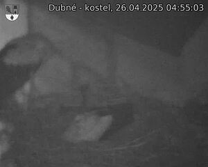 Capi_Dubne_20250426_045503.jpg (1350 x 1080)
