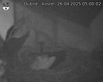 Capi_Dubne_20250426_050002.jpg