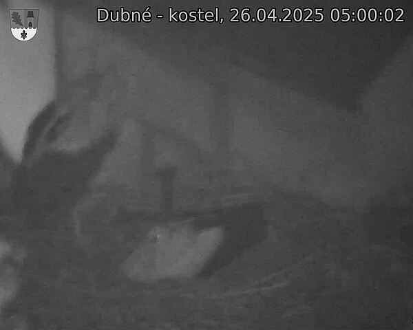 Capi_Dubne_20250426_050002.jpg (1350 x 1080)