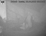 Capi_Dubne_20250426_051003.jpg