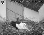 Capi_Dubne_20250426_054003.jpg