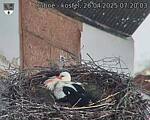 Capi_Dubne_20250426_072003.jpg