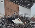 Capi_Dubne_20250426_075502.jpg