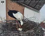 Capi_Dubne_20250426_090003.jpg