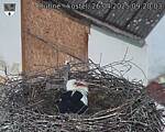 Capi_Dubne_20250426_092003.jpg