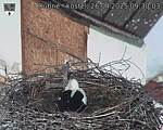 Capi_Dubne_20250426_093003.jpg