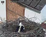 Capi_Dubne_20250426_094003.jpg