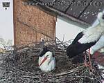 Capi_Dubne_20250426_100003.jpg