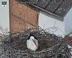 Capi_Dubne_20250426_100502.jpg