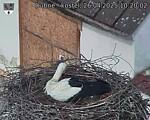 Capi_Dubne_20250426_102002.jpg