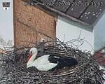 Capi_Dubne_20250426_103503.jpg