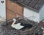 Capi_Dubne_20250426_104002.jpg