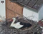 Capi_Dubne_20250426_104502.jpg