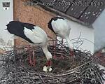 Capi_Dubne_20250426_110503.jpg