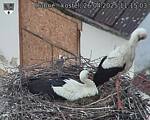 Capi_Dubne_20250426_111503.jpg