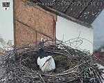 Capi_Dubne_20250426_113003.jpg