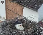 Capi_Dubne_20250426_113503.jpg