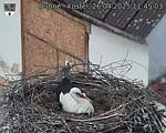Capi_Dubne_20250426_114503.jpg