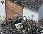 Capi_Dubne_20250426_115003.jpg