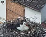 Capi_Dubne_20250426_120503.jpg