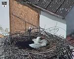 Capi_Dubne_20250426_121003.jpg