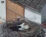 Capi_Dubne_20250426_121503.jpg