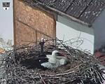 Capi_Dubne_20250426_125002.jpg