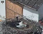 Capi_Dubne_20250426_130503.jpg