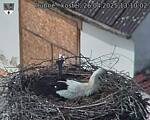 Capi_Dubne_20250426_131002.jpg