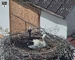 Capi_Dubne_20250426_133003.jpg