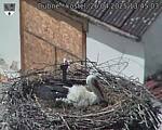 Capi_Dubne_20250426_134503.jpg