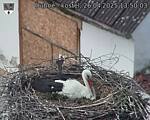 Capi_Dubne_20250426_135003.jpg